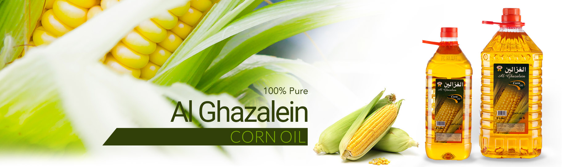 banner ghazalein oil